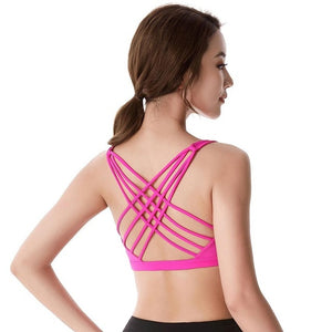 Warrior Sports Bra